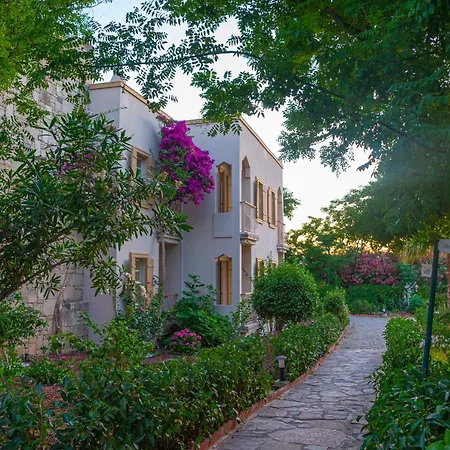 Ξενοδοχείο Museum Spa *