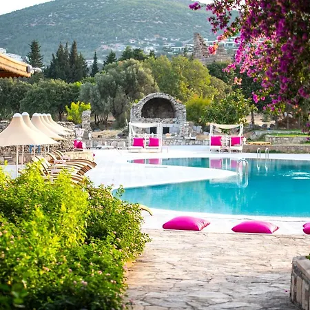 Museum Spa * Αλικαρνασσός